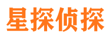 鲁山市私家侦探